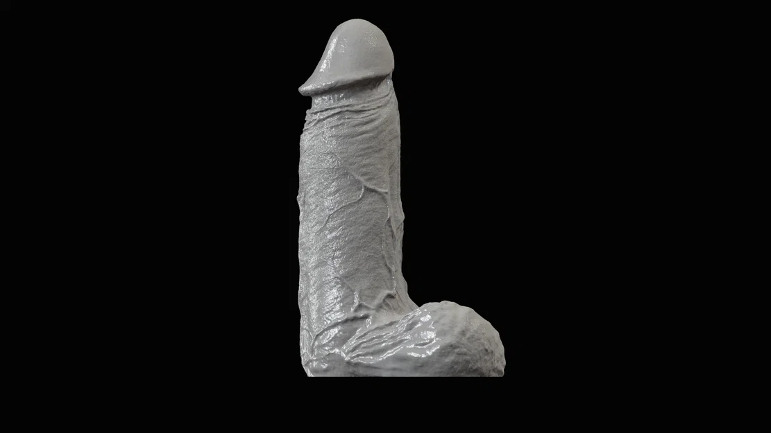 Mô hình dương vật (Penis) - Image 3