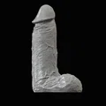 Mô hình dương vật (Penis) - Thumbnail 3
