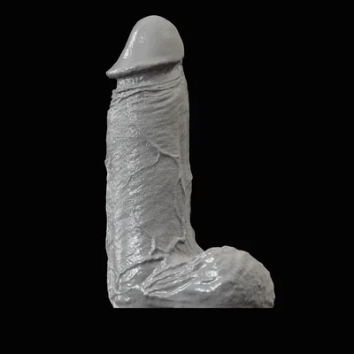 Mô hình dương vật (Penis)