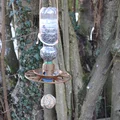 Máng ăn cho chim (Bird Feeder) - Thumbnail 3