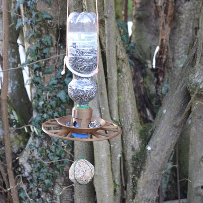 Máng ăn cho chim (Bird Feeder)