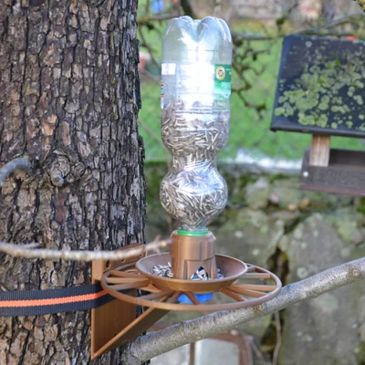 Máng ăn cho chim (Bird Feeder)