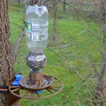 Máng ăn cho chim (Bird Feeder) - Thumbnail 5