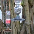 Máng ăn cho chim (Bird Feeder) - Thumbnail 6