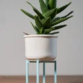 Kệ Đỡ Chậu Cây Lắp Ghép (Snap Fit Plant Stands) - Thumbnail 5