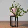 Kệ Đỡ Chậu Cây Lắp Ghép (Snap Fit Plant Stands) - Thumbnail 6