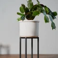 Kệ Đỡ Chậu Cây Lắp Ghép (Snap Fit Plant Stands) - Thumbnail 7