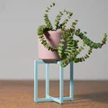 Kệ Đỡ Chậu Cây Lắp Ghép (Snap Fit Plant Stands) - Thumbnail 9