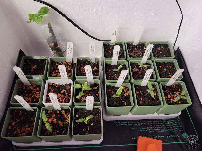 Khay ươm hạt giống / Gieo trồng - PHIÊN BẢN MỚI - Image 1