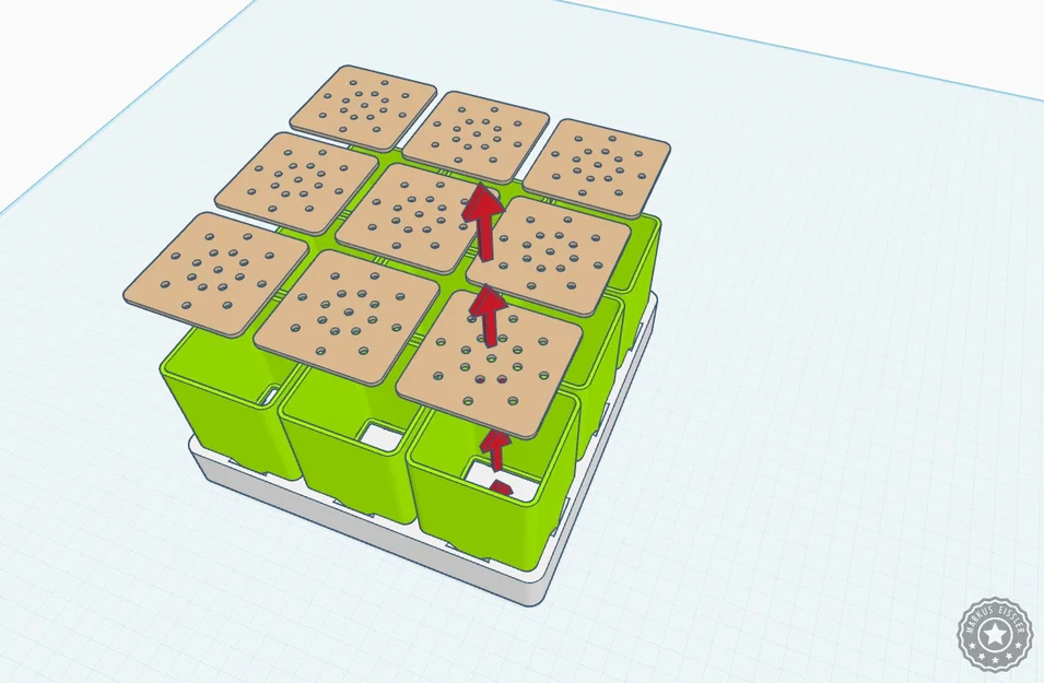 Khay ươm hạt giống / Gieo trồng - PHIÊN BẢN MỚI - Image 6