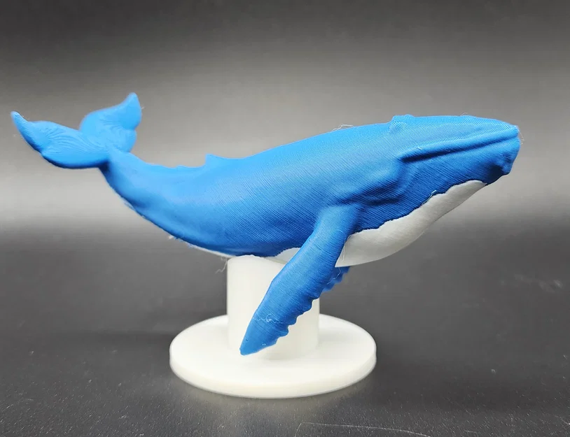 Mô hình Cá voi xanh kèm đế (Hỗ trợ AMS/MMU) - Image 1