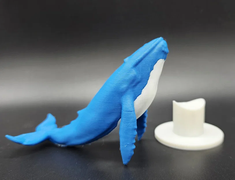 Mô hình Cá voi xanh kèm đế (Hỗ trợ AMS/MMU) - Image 2