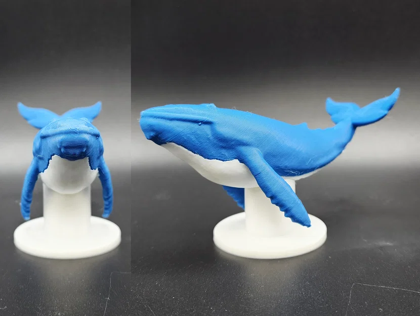 Mô hình Cá voi xanh kèm đế (Hỗ trợ AMS/MMU) - Image 4