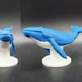 Mô hình Cá voi xanh kèm đế (Hỗ trợ AMS/MMU) - Thumbnail 4