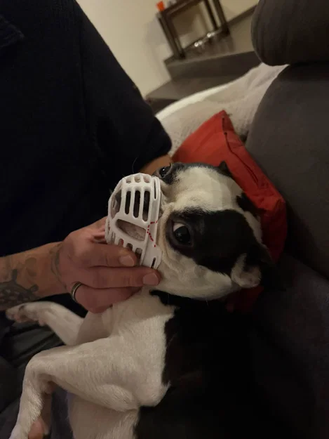 Rọ mõm cho chó có mõm ngắn (Kurz Schnauzer) - Image 4