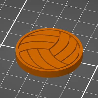 Đồng Xu Tung Tăng Bóng Chuyền (Sport Toss Coin Volleyball)