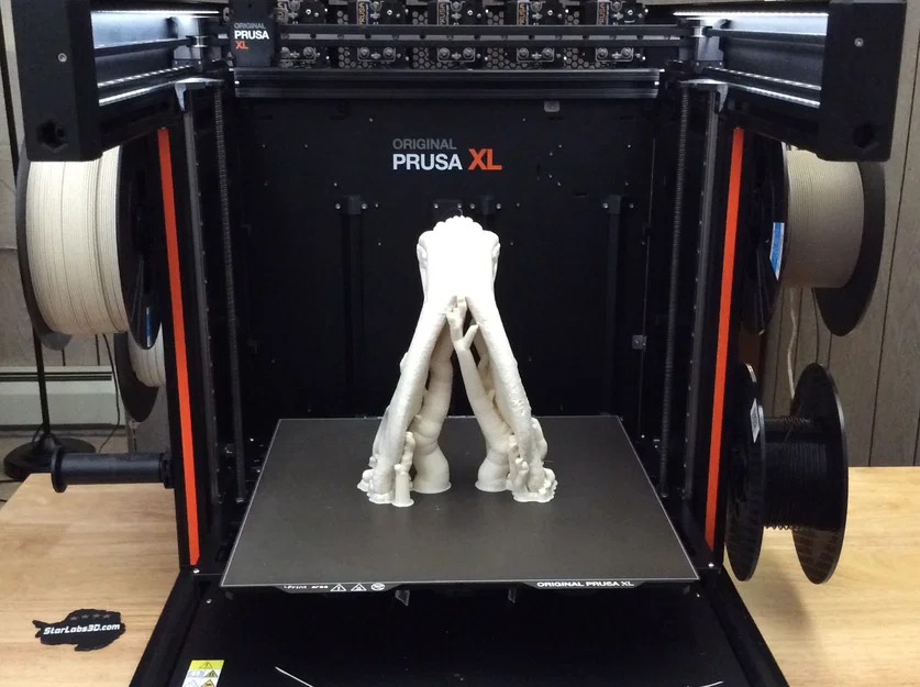 Mô hình đầu gấu (Bear Skull) in 3D - Image 7