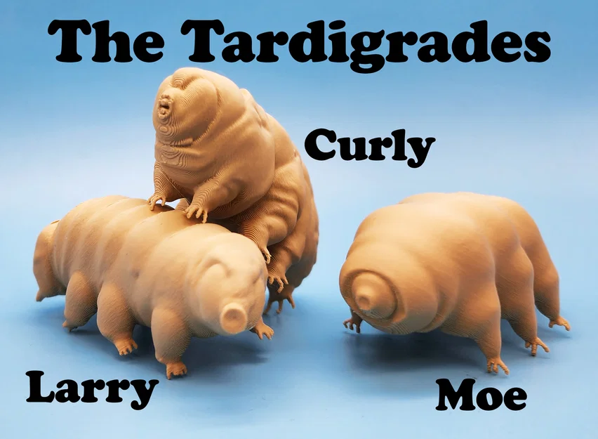 Mô hình 3D Gấu nước Tardigrades: Bộ sưu tập 3 mẫu Larry, Curly và Moe - Image 1