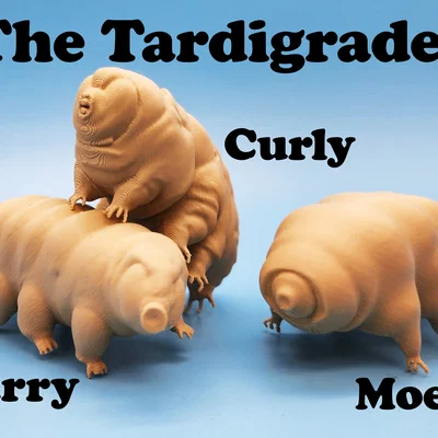 Mô hình 3D Gấu nước Tardigrades: Bộ sưu tập 3 mẫu Larry, Curly và Moe