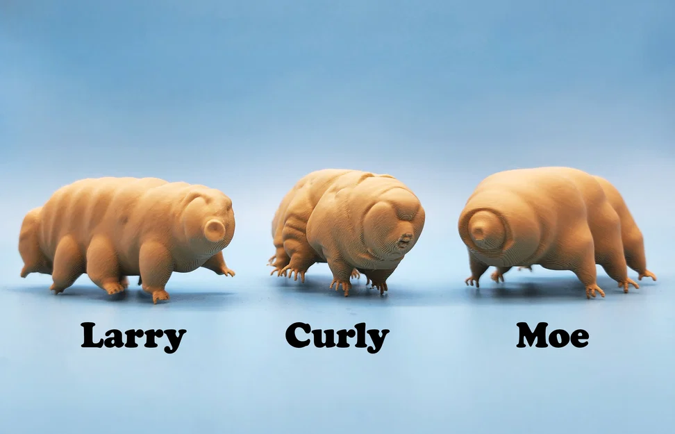 Mô hình 3D Gấu nước Tardigrades: Bộ sưu tập 3 mẫu Larry, Curly và Moe - Image 2