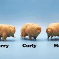 Mô hình 3D Gấu nước Tardigrades: Bộ sưu tập 3 mẫu Larry, Curly và Moe - Thumbnail 2