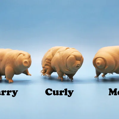 Mô hình 3D Gấu nước Tardigrades: Bộ sưu tập 3 mẫu Larry, Curly và Moe