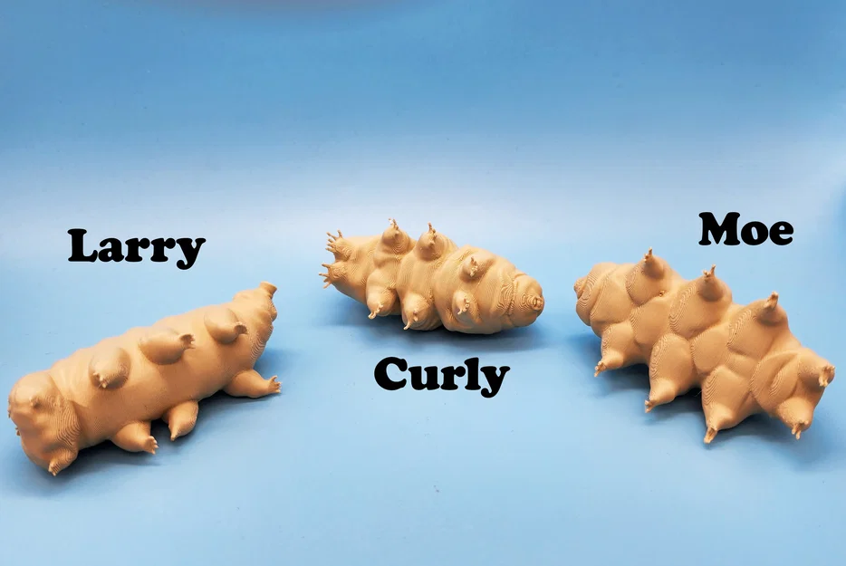Mô hình 3D Gấu nước Tardigrades: Bộ sưu tập 3 mẫu Larry, Curly và Moe - Image 3