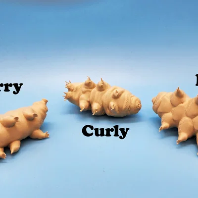 Mô hình 3D Gấu nước Tardigrades: Bộ sưu tập 3 mẫu Larry, Curly và Moe