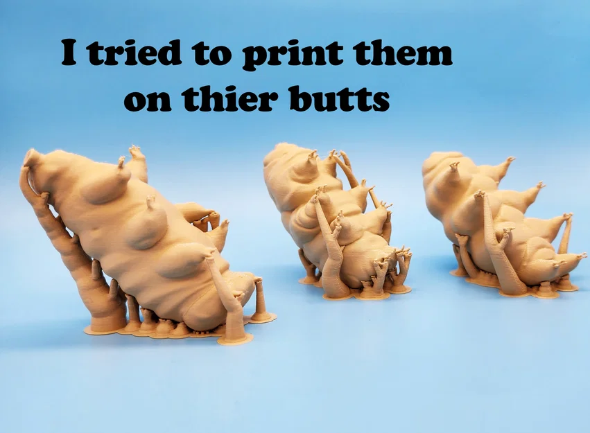 Mô hình 3D Gấu nước Tardigrades: Bộ sưu tập 3 mẫu Larry, Curly và Moe - Image 4