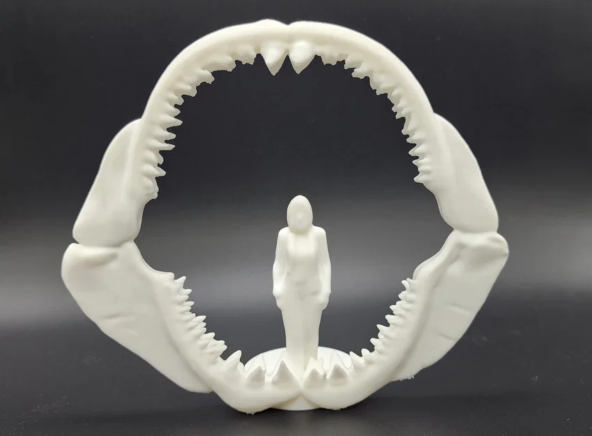 Bộ hàm cá mập Megalodon - Kích thước thực tế cho người - Image 1