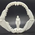 Bộ hàm cá mập Megalodon - Kích thước thực tế cho người - Thumbnail 1