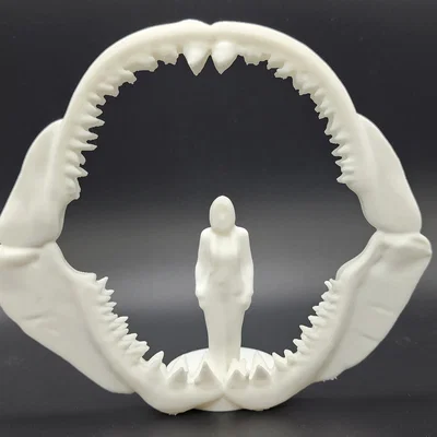 Bộ hàm cá mập Megalodon - Kích thước thực tế cho người