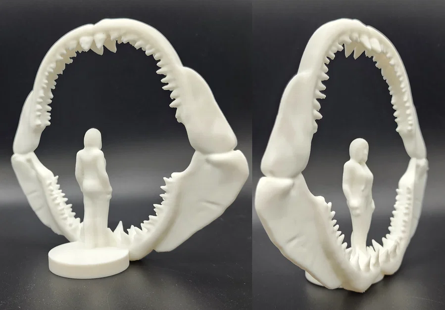 Bộ hàm cá mập Megalodon - Kích thước thực tế cho người - Image 2