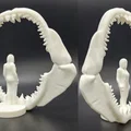 Bộ hàm cá mập Megalodon - Kích thước thực tế cho người - Thumbnail 2