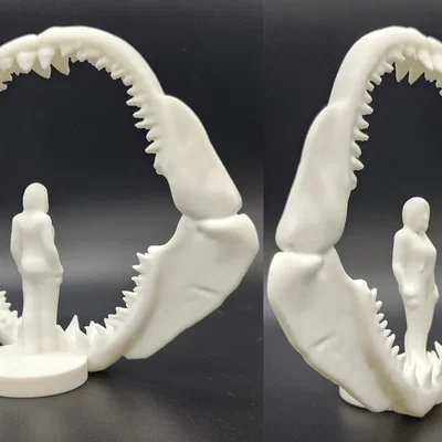 Bộ hàm cá mập Megalodon - Kích thước thực tế cho người