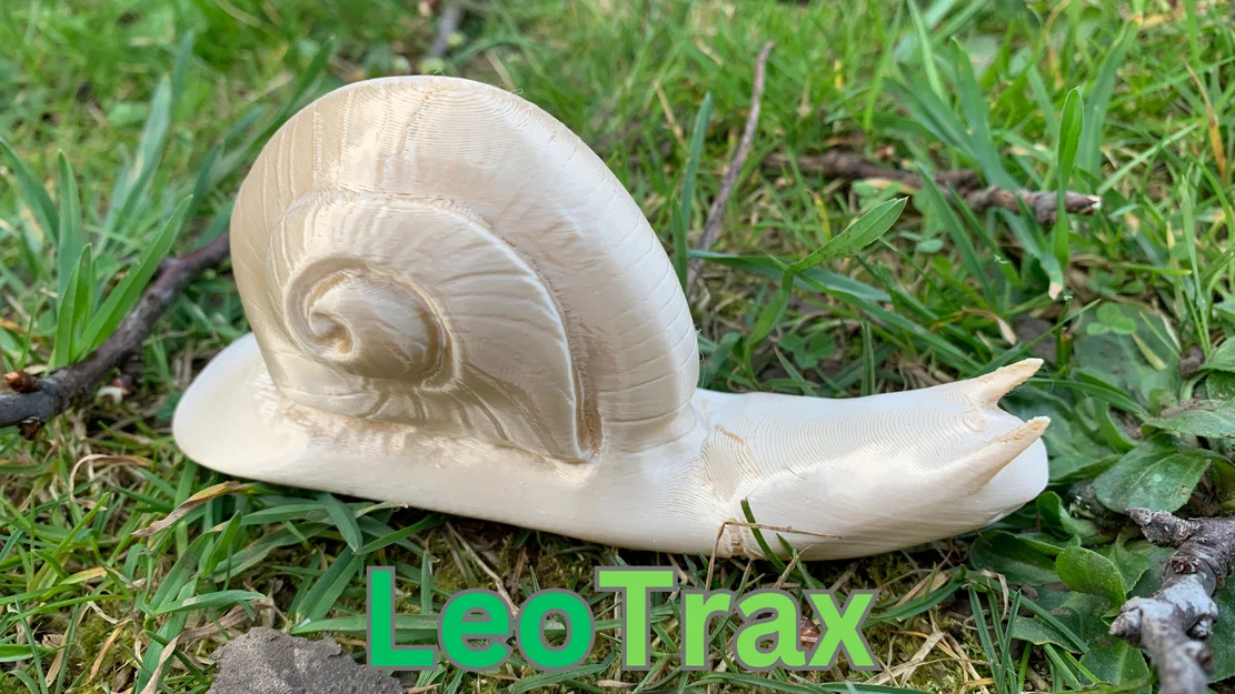 Mô hình ốc sên Weinbergschnecke in 3D không cần support - Image 1