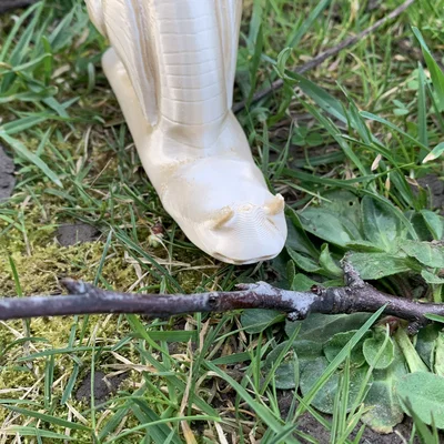 Mô hình ốc sên Weinbergschnecke in 3D không cần support