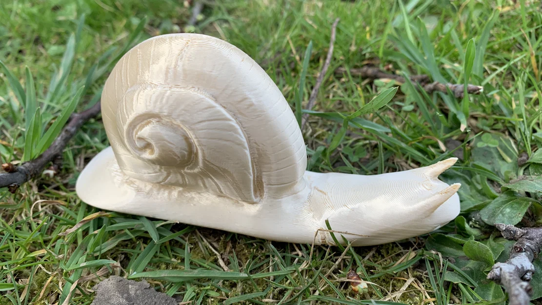 Mô hình ốc sên Weinbergschnecke in 3D không cần support - Image 3