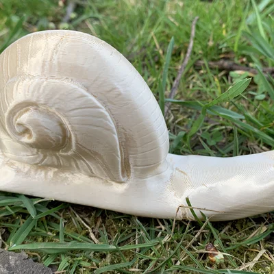 Mô hình ốc sên Weinbergschnecke in 3D không cần support