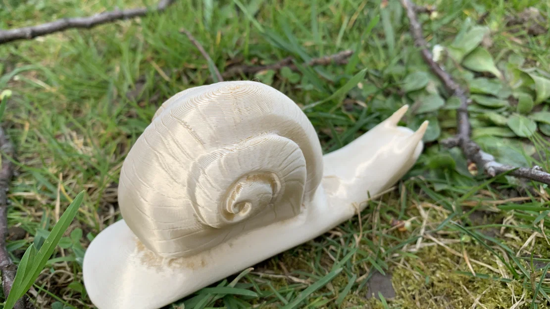 Mô hình ốc sên Weinbergschnecke in 3D không cần support - Image 4