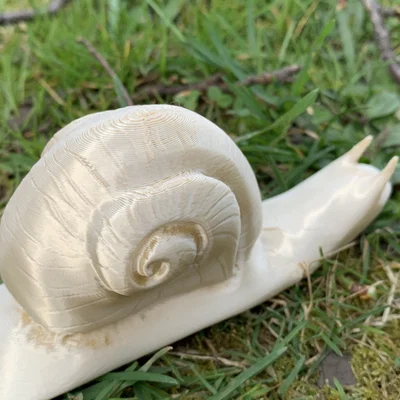 Mô hình ốc sên Weinbergschnecke in 3D không cần support