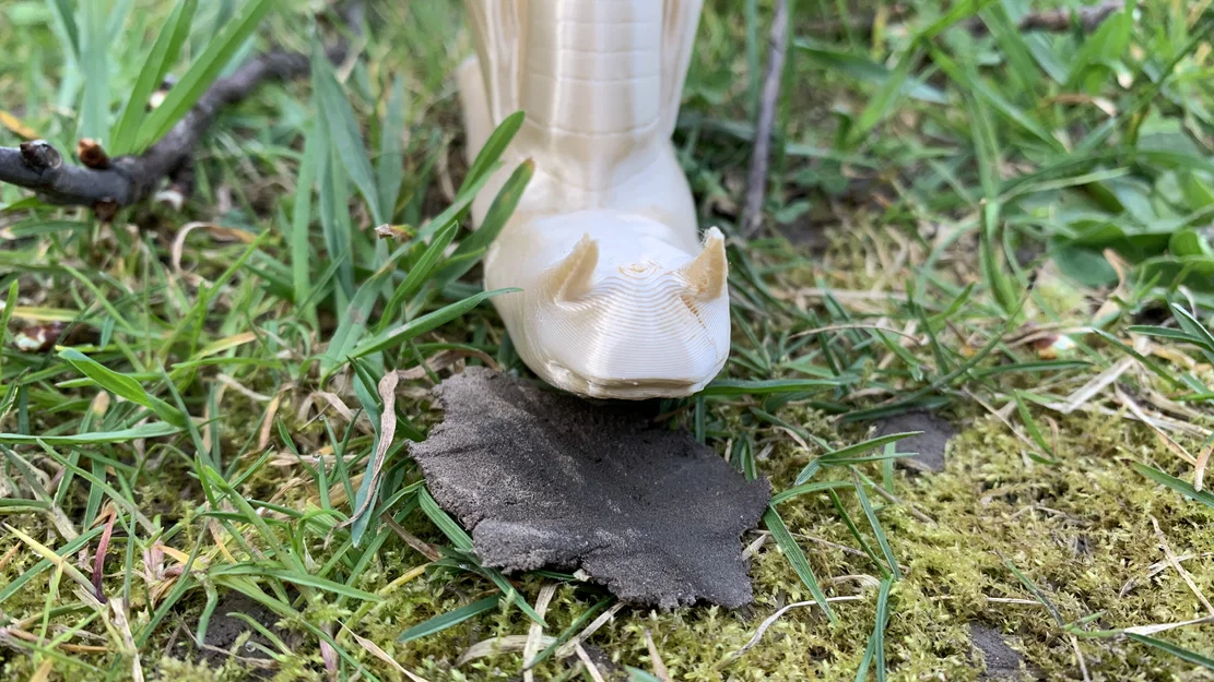 Mô hình ốc sên Weinbergschnecke in 3D không cần support - Image 5