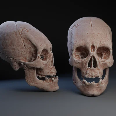 Hộp sọ: Bản sao mô phỏng tập tục biến dạng hộp sọ nhân tạo tại Tiwanaku