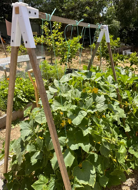 Khớp nối giàn leo cho cây cà chua và dưa leo - Image 2