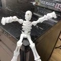 Mô hình bộ xương Flexi Skeleton khớp nối linh hoạt in 3D - Thumbnail 2