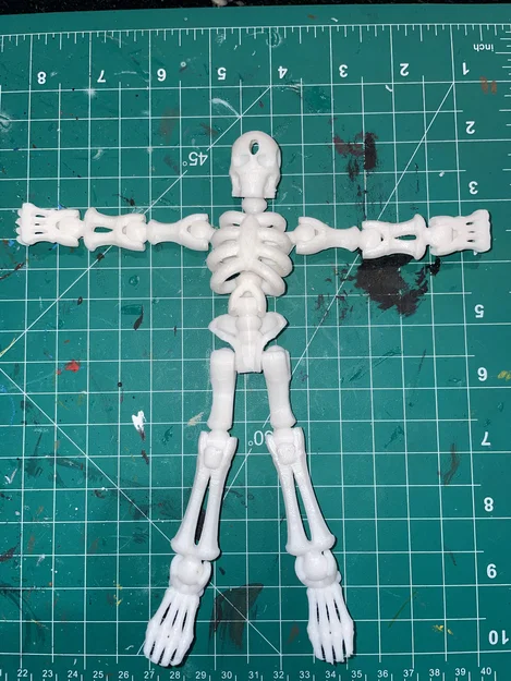 Mô hình bộ xương Flexi Skeleton khớp nối linh hoạt in 3D - Image 3