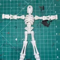 Mô hình bộ xương Flexi Skeleton khớp nối linh hoạt in 3D - Thumbnail 3