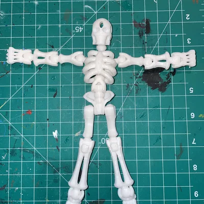 Mô hình bộ xương Flexi Skeleton khớp nối linh hoạt in 3D