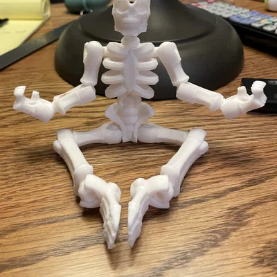 Mô hình bộ xương Flexi Skeleton khớp nối linh hoạt in 3D