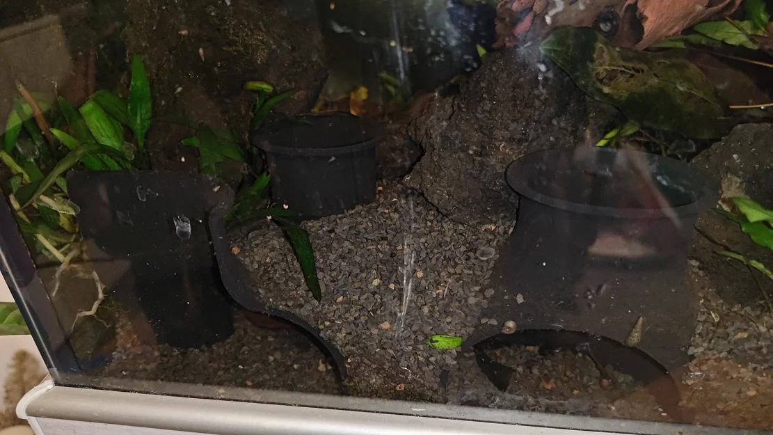 Mẫu hang đá trú ẩn 3D cho hồ thủy sinh - Aquarium Cave - Image 1